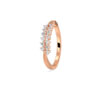 The Belovya Ring