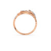 The Twinkara Ring