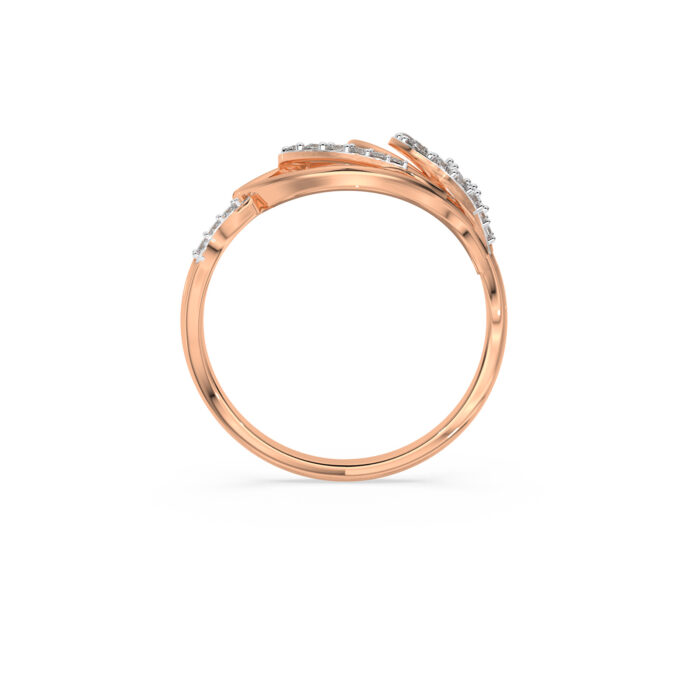 The Twinkara Ring
