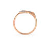The Dazzlyn Ring