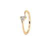 The Amaya Spark Ring