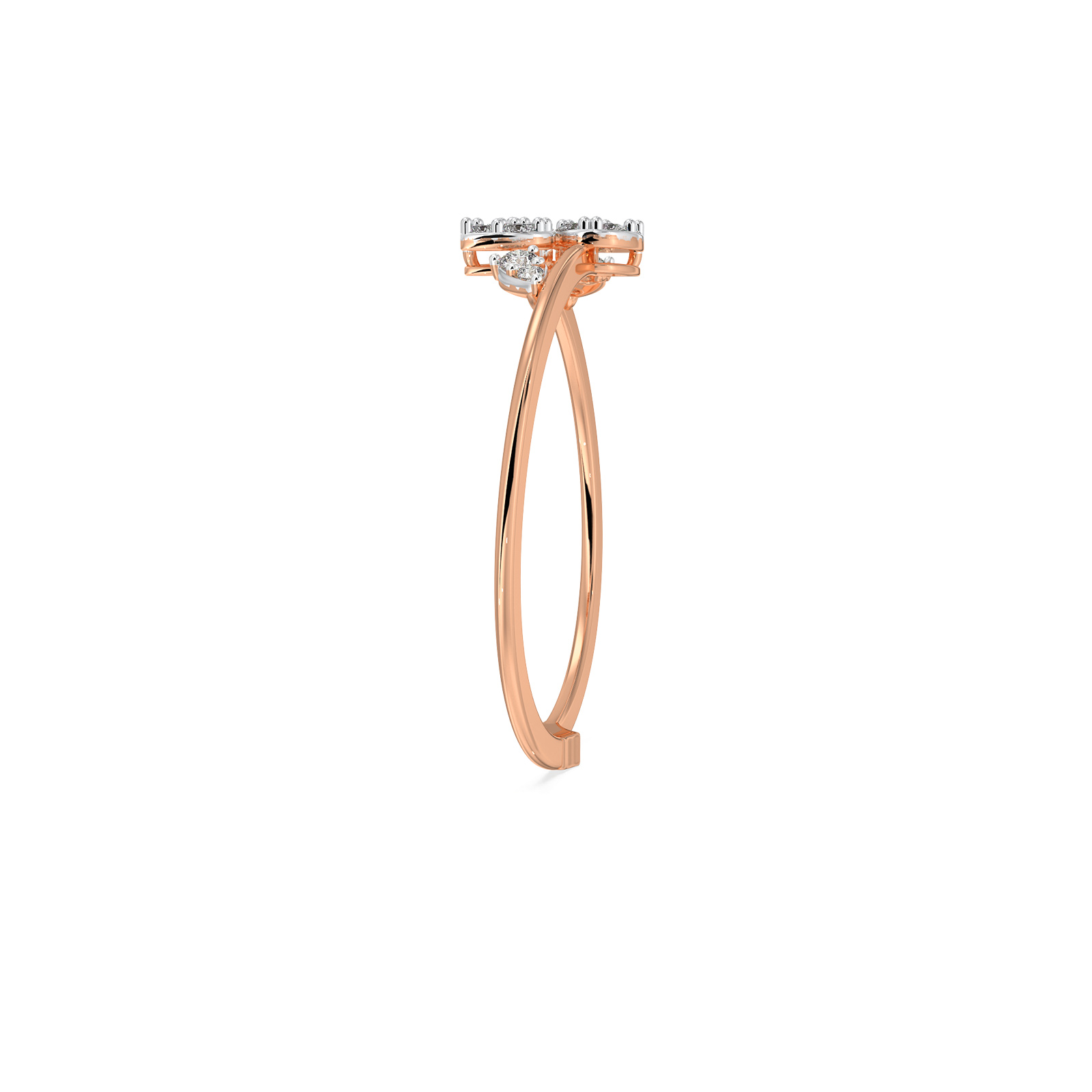 The Zyvira Ring